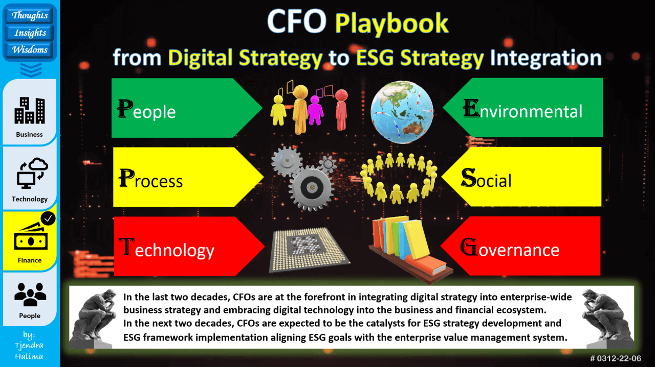 cfo playbook