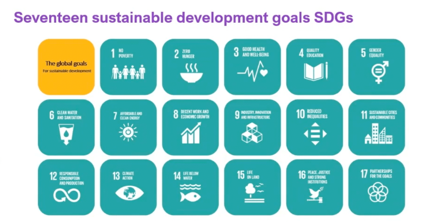 The 17 sustainable development goals (SDGs)