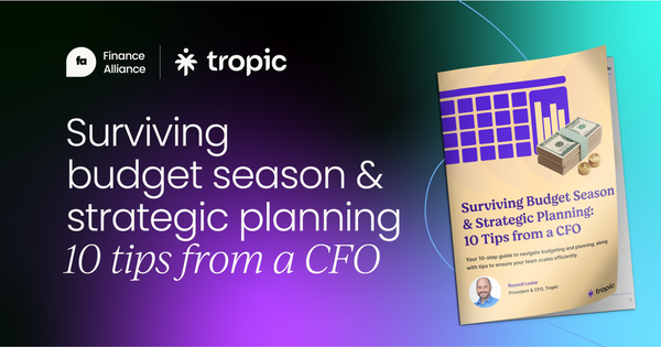 Why CFOs fear budget season  (and how to survive it)