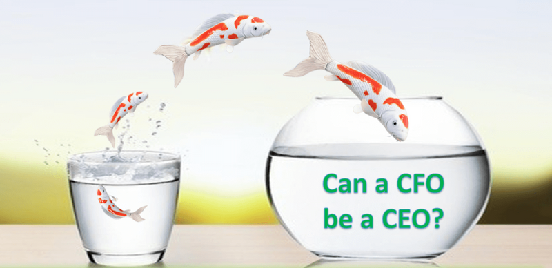 Can a CFO be a CEO?